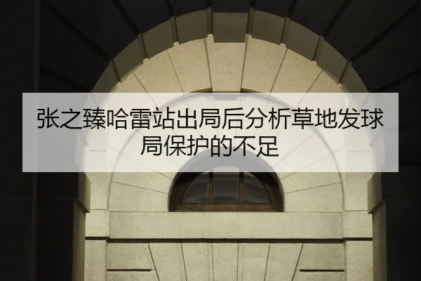 张之臻哈雷站出局后分析草地发球局保护的不足